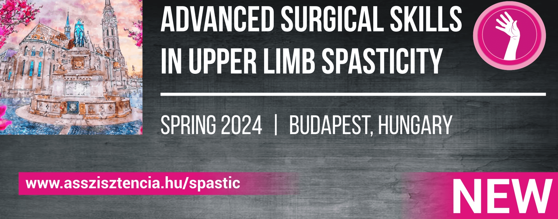 Symposium de L’Institut de la Main 2023: Nerve Transfers in the Upper Limb